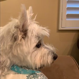 Meet your Posher, Miranda